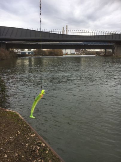 Neckar (Neckarsulm)-1