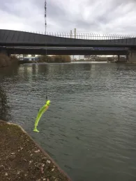 Neckar (Neckarsulm)-1