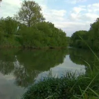 Neckar (Neckarsulm)-3