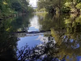 Fils (Reichenbach an der Fils)-1