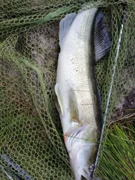 Schwarzenbachtalsperre-4