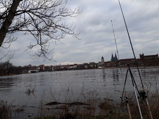 Saale (Calbe)-4