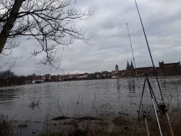 Saale (Calbe)-4