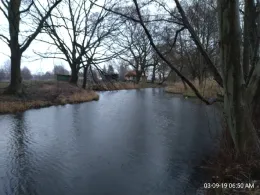 Rhin-Altlauf (Zootzen)-0