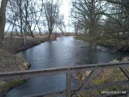 Rhin-Altlauf (Zootzen)-1