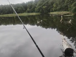 Kesselsee (Altfriedland)-1