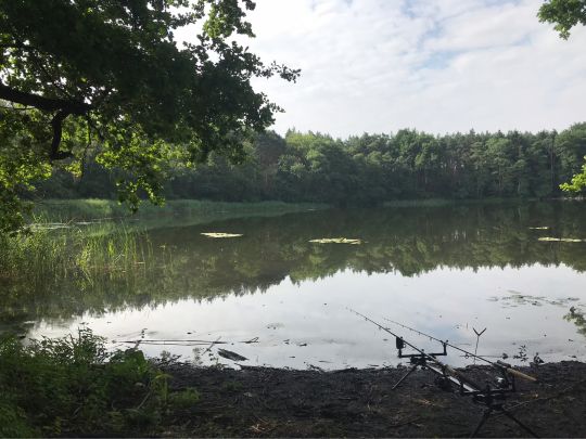 Kesselsee (Altfriedland)