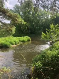 Weiße Elster (Neumühle/Elster)-1