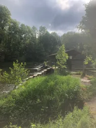 Weiße Elster (Neumühle/Elster)-3