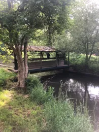 Weiße Elster (Neumühle/Elster)-2