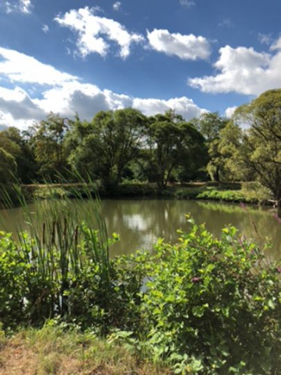 Vereinssee ASV Piesbach-1