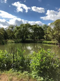 Vereinssee ASV Piesbach-1