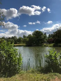 Vereinssee ASV Piesbach