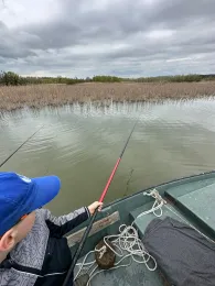 Tisza-tó (Theiß-See)-2