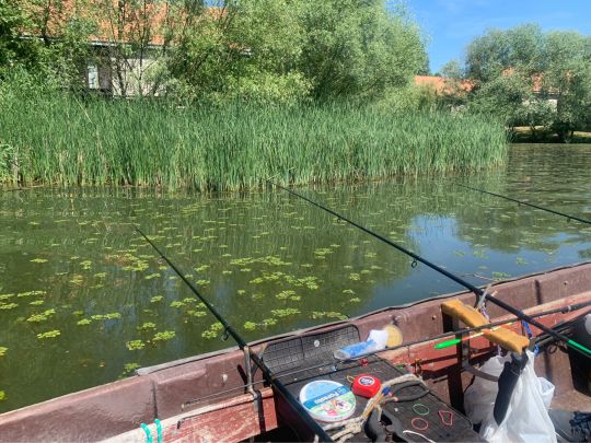 Tisza-tó (Theiß-See)-1