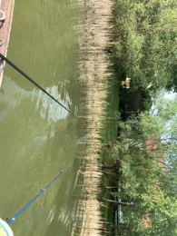 Tisza-tó (Theiß-See)