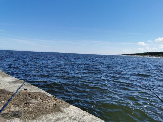 Rega (Mrżeżyno)