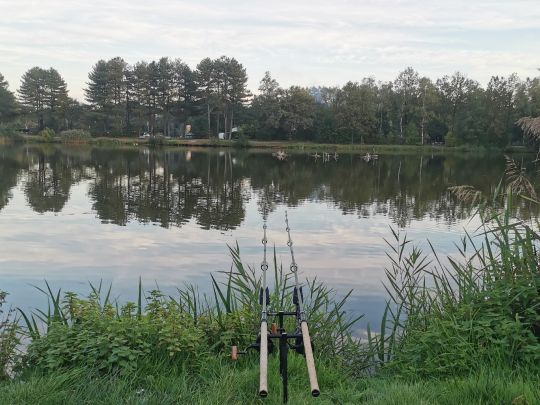 Landal Domein De Schatberg-1