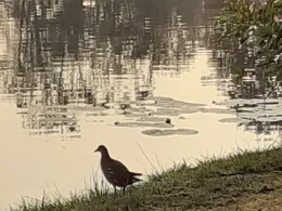 Landal Domein De Schatberg-0