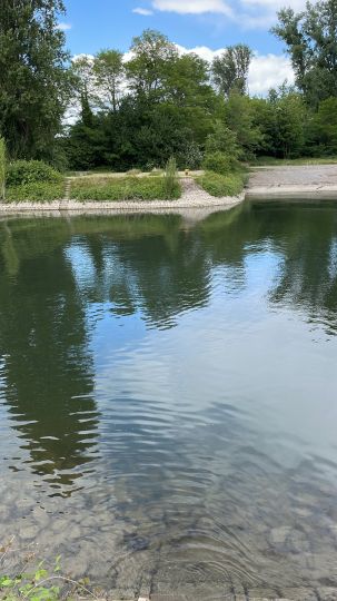 Pionierhafen (Karlsruhe)-2