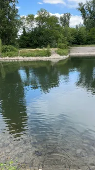 Pionierhafen (Karlsruhe)-2