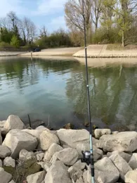 Pionierhafen (Karlsruhe)-1