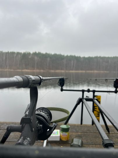 Schäfersee (Freidorf)-3