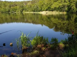 Schäfersee (Freidorf)-2