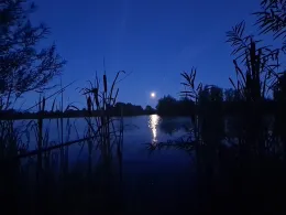 Niederwälder See 1-3