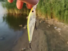 Oder (Schwedt/Oder)-1