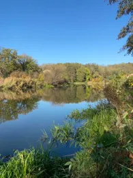 Wriezener Alte Oder (Oderberg)