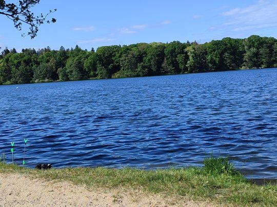 Kleiner Eutiner See-2