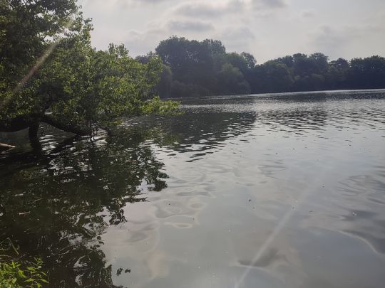 Kleiner Eutiner See-3