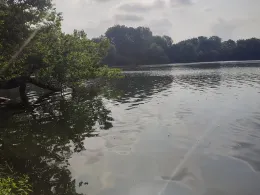 Kleiner Eutiner See-3