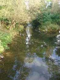 Weißer Regen (Bad Kötzting)-4