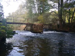 Weißer Regen (Bad Kötzting)-0