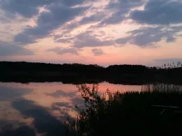 Schwaaner Torfmoor-1