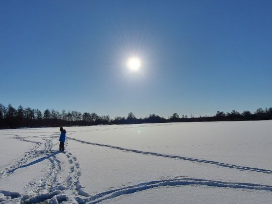 Schwaaner Torfmoor