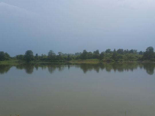 Schwaaner Torfmoor-2