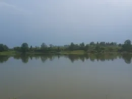 Schwaaner Torfmoor-2