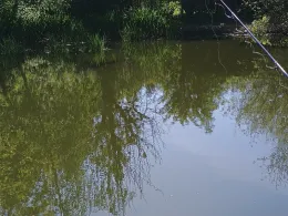 Ententeich (Börger)