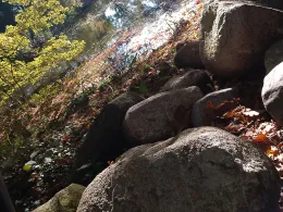 Ententeich (Börger)-3