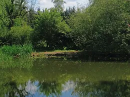 Ententeich (Börger)-1