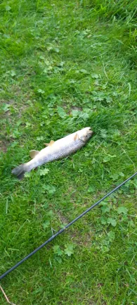 Schwarza (Katzhütte)