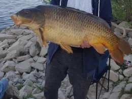 Pfrimm (Pfeddersheim)