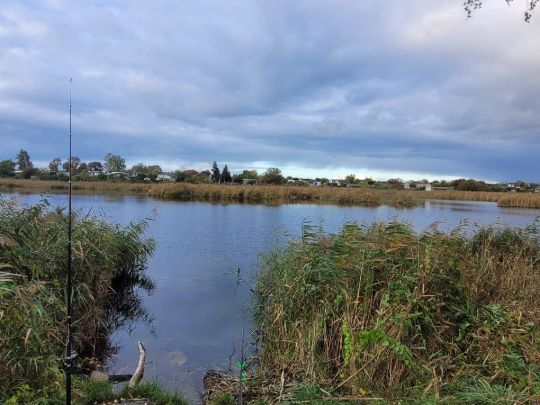 Igelpfuhl (Schwedt)-2