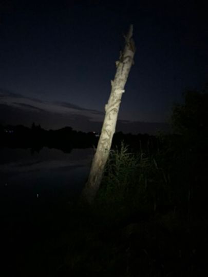 Igelpfuhl (Schwedt)-1