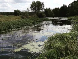 Mühlengraben (Wienhausen)-2