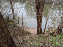 Steinbruch (Wittgensdorf)