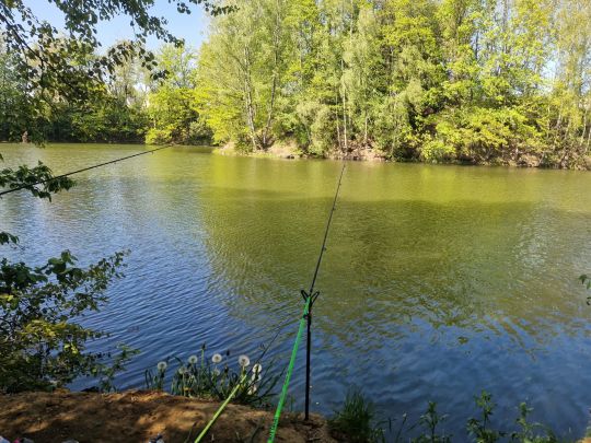 Steinbruch (Wittgensdorf)-1